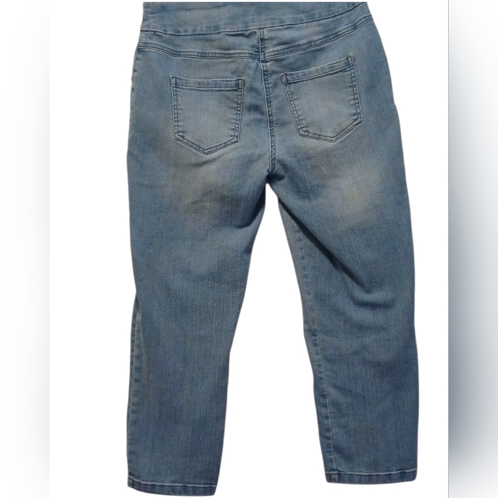 Westbound - NWOT, Denim Jeans, Front Slimming Panel, 5 Pocket Style, Size 6P - Picture 2 of 7